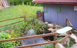 Bild 16: Garten. Teich