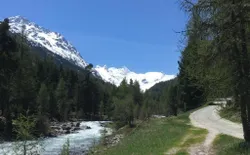 Bild 28: Sommer im Val Roseg