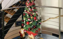 Bild 56: Weihnachtsbaum während Weihnachten und Silvester