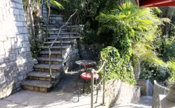 Bild 21: Treppe zum antiken Olivenfussweg nach Gandria und Gartenweg für den Hund inmitten Palmen, Olivenbaum,
Kamelien
