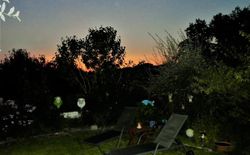 Bild 24: Garten. tropische Nächte mit spektaklurären Sonnenuntergängen im Bayerischen Wald