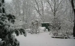 Bild 39: Neuschnee im Gartenbereich