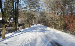 Bild 25: Direkte Umgebung des Objekts. Die Straße "Ilenpool" im Winter