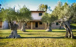 Ferienhaus mit Privatpool für 5 Personen ca. 130 m² in Lloseta, Mallorca (Binnenland von Mallorca), Bild 1