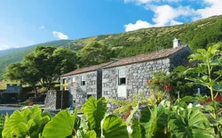 Ferienhäuser Adegas do Pico, Prainha, Pico, Azoren, Bild 1