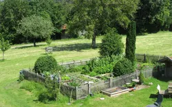 Bild 2: Bauerngarten