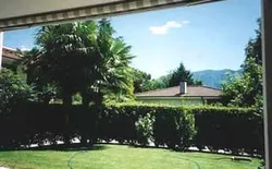 Bild 40: Garten mit eigenen Palmen - Ferien pur!