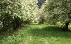Bild 12: Frühjahr im Val Müstair