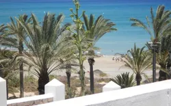 Ferienwohnung Costa Calma mit privatem Garten direkt am Strand, Bild 1: Strand (Blick aus dem Garten)