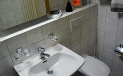Bild 13: Badezimmer: Große Duschkabine, WC Waschbecken, Kosmetikspiegel + Föhn. swissme holiday stmoritz