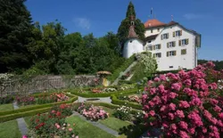 Bild 3: Schloss Heidegg in der Rosenblüte im Juni