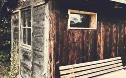 Bild 19: Sauna im alten Bienenhaus