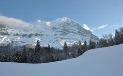 Bild 17: Balkonaussicht auf dem Eiger in Winter