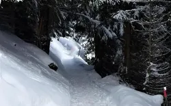 Bild 20: Winterwanderweg Grütschalp