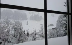 Bild 21: Blick aus dem Fenster (Winter)