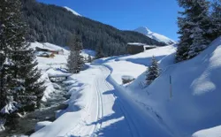 Bild 19: Sertigtal, Davoser Seitental
