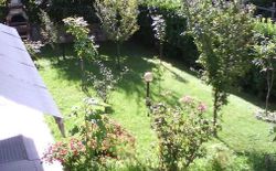 Bild 2:  Garten