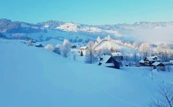 Bild 10: Aussicht von Ferienwohnung auf winterliches Toggenburg (Blick von Veranda/Wohnzimmer/Küche in Richtung Tanzboden)