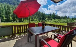 Immagine 10: Grande terrazza con vista sulle montagne e sul bosco. Attrezzata con tavolo, sedie, lettini prendisole e ombrelloni.