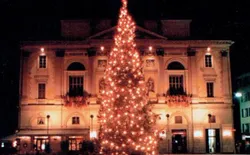 Bild 18: Weihnachtsbaum auf der Piazza Riforma in Lugano