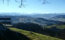 Bild 18: Aussichtspunkt: Linde auf Hügel oberhalb Mörisegg, zu Fuss in 5 Min. 