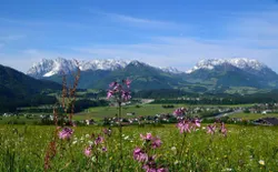Bild 29: Kaisergebirge