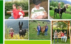 Bild 12: Schottenhof Kinder mit Tiere