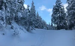 Bild 33: Skitour